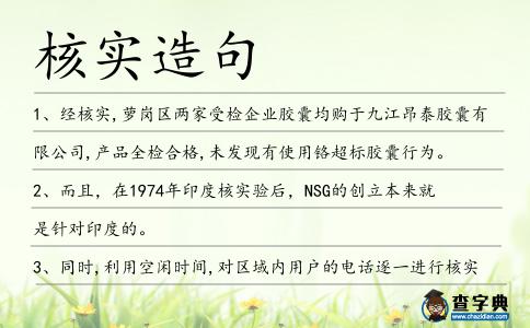 核實(shí)造句