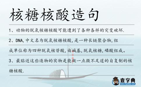 核糖核酸造句