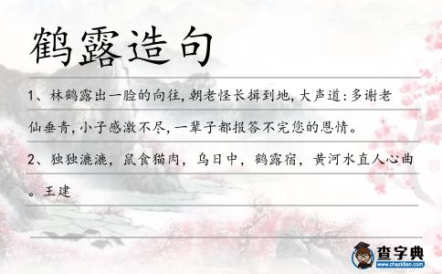 鶴露造句