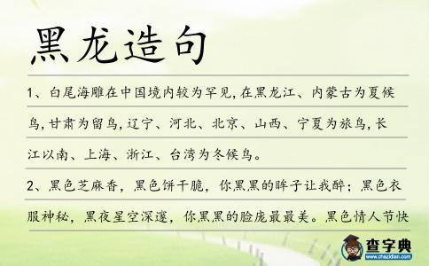 黑龍造句