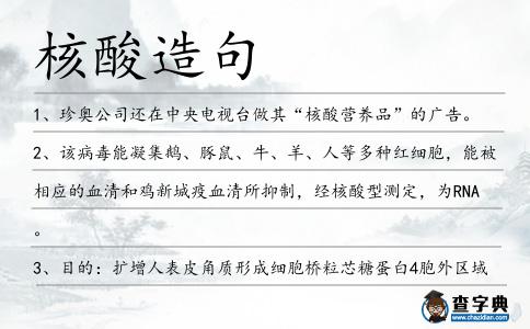 核酸造句
