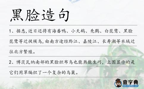 黑臉造句