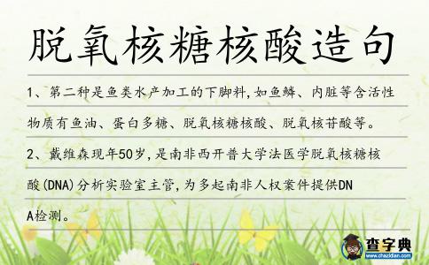 脫氧核糖核酸造句