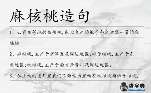 麻核桃造句