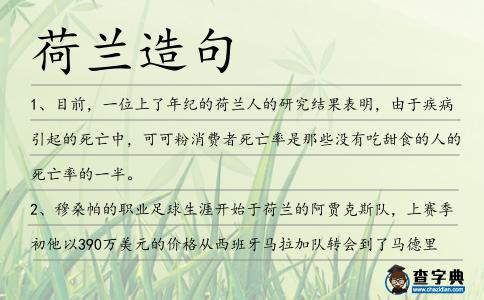 荷蘭造句