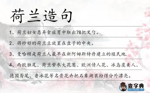 荷蘭造句