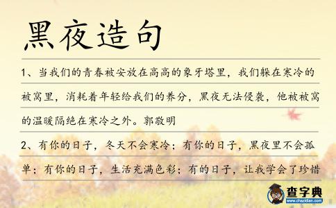 黑夜造句