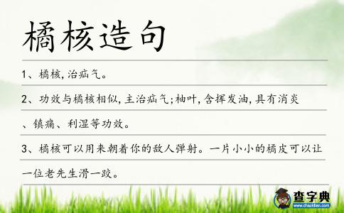 橘核造句