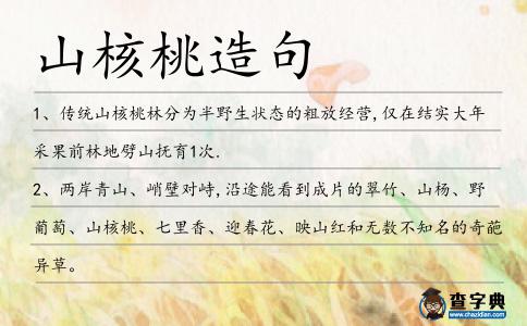 山核桃造句