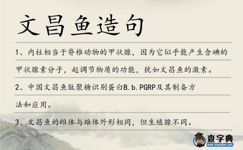 文昌魚造句