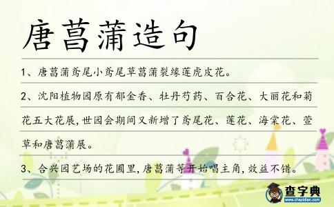 唐菖蒲造句