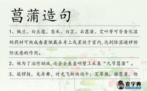 菖蒲造句