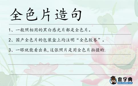 全色片造句