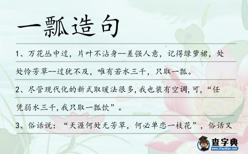 一瓢造句
