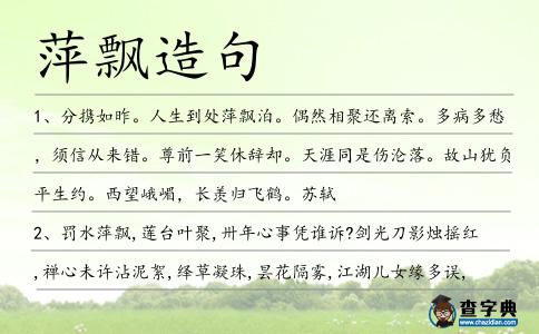 萍飄造句