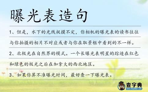 曝光表造句