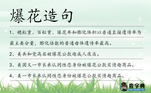 爆花造句