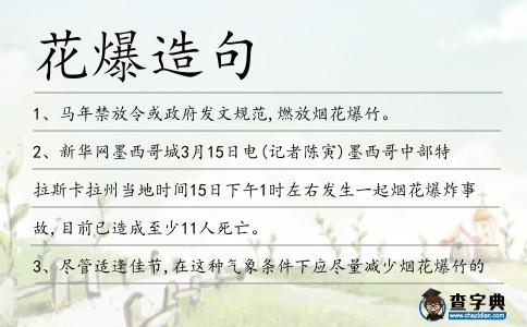 花爆造句