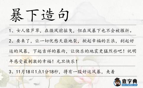 暴下造句