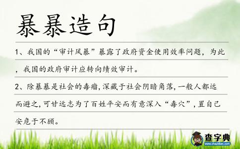 暴暴造句