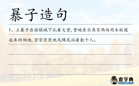 暴子造句
