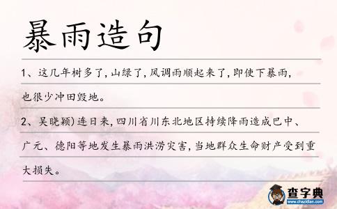 暴雨造句