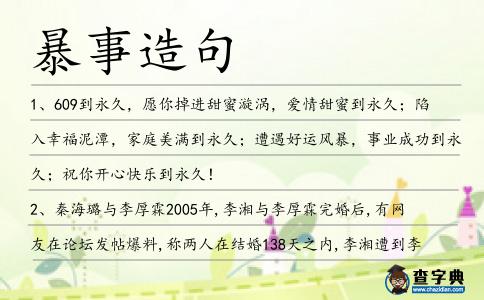 暴事造句