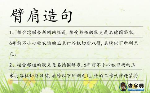 臂肩造句