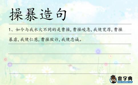操暴造句