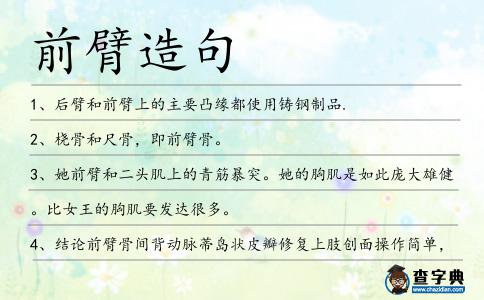 前臂造句