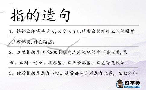 指的造句