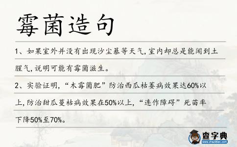 霉菌造句
