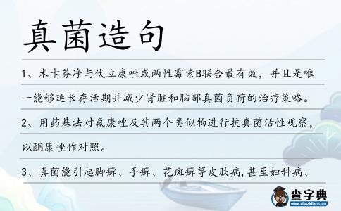 真菌造句