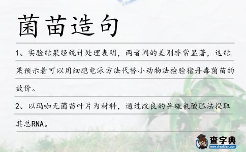 菌苗造句
