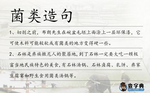 菌類(lèi)造句