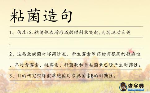 粘菌造句
