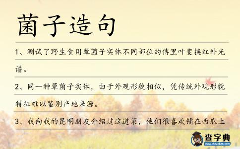 菌子造句