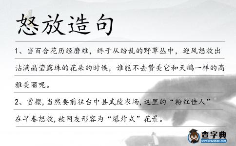 怒放造句