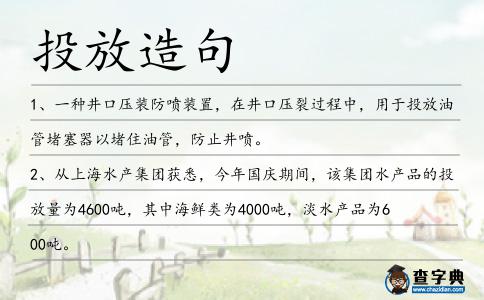 投放造句