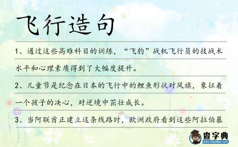飛行造句