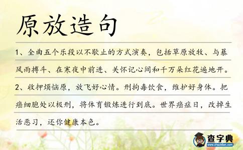 原放造句
