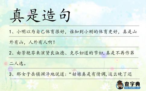真是造句