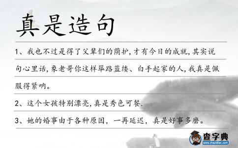 真是造句