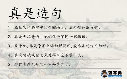 真是造句