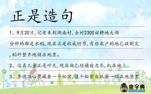 正是造句