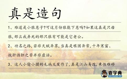 真是造句