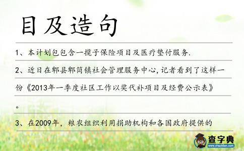 目及造句