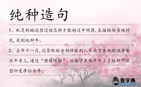 純種造句