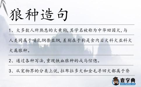 狼種造句