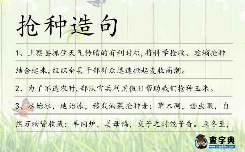搶種造句